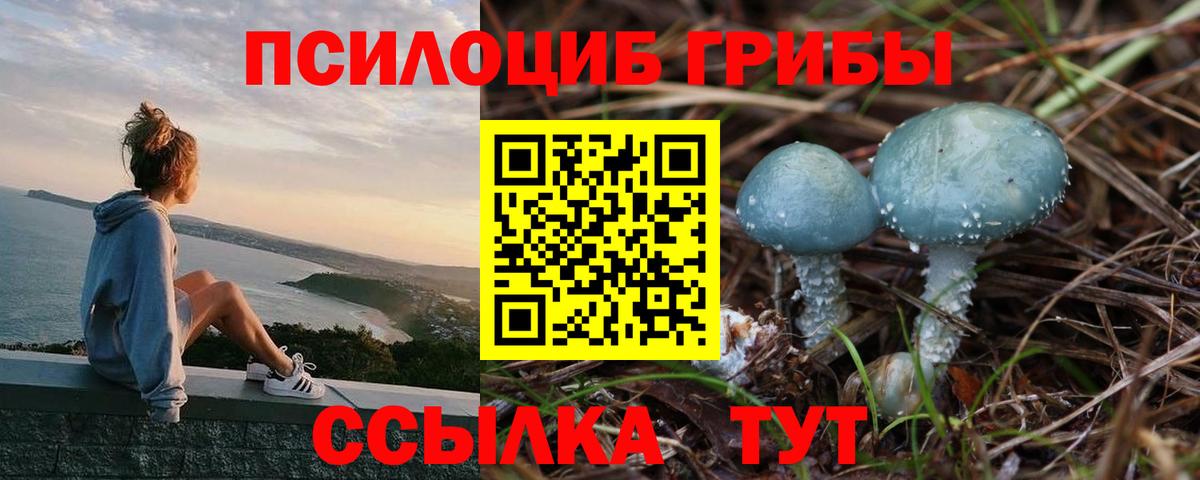 Галлюциногенные грибы MAGIC MUSHROOMS Кингисепп