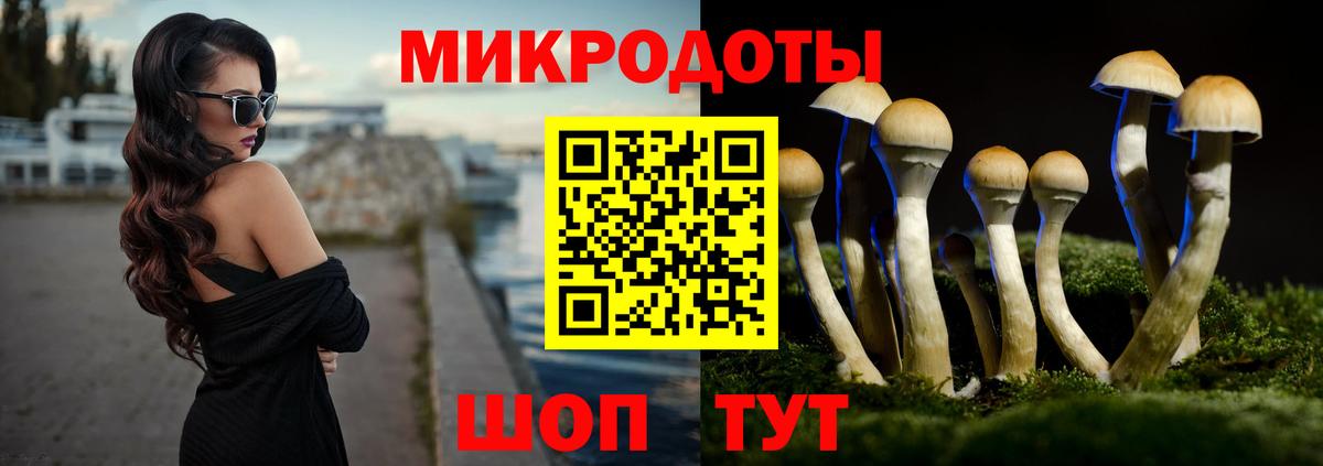 Кингисепп  Псилоцибиновые грибы MAGIC MUSHROOMS  Вход с VPN  Галлюциногенные грибы Cubensis 
